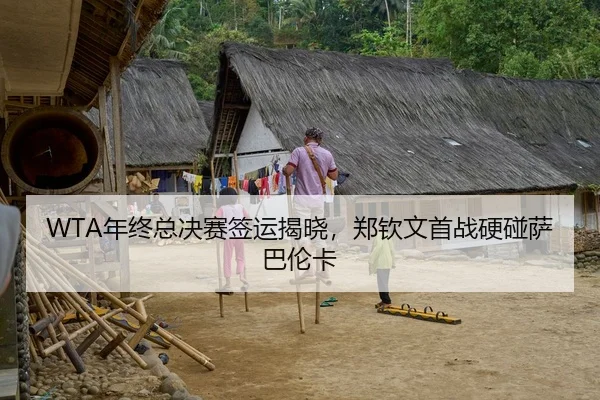WTA年终总决赛签运揭晓，郑钦文首战硬碰萨巴伦卡