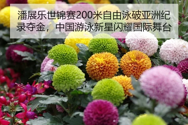 潘展乐世锦赛200米自由泳破亚洲纪录夺金，中国游泳新星闪耀国际舞台